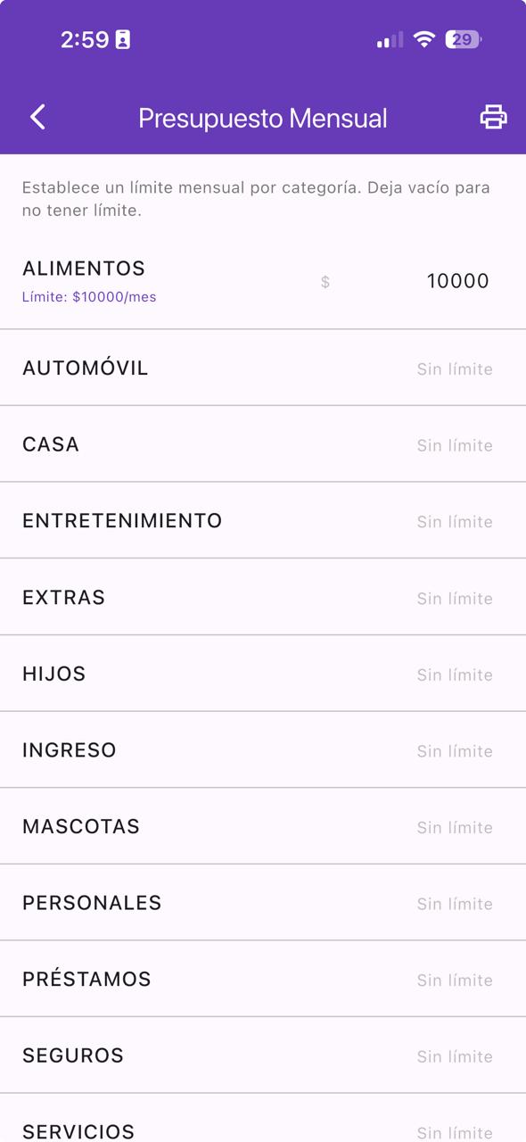 Presupuesto